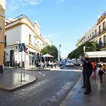 Archeros Skyview